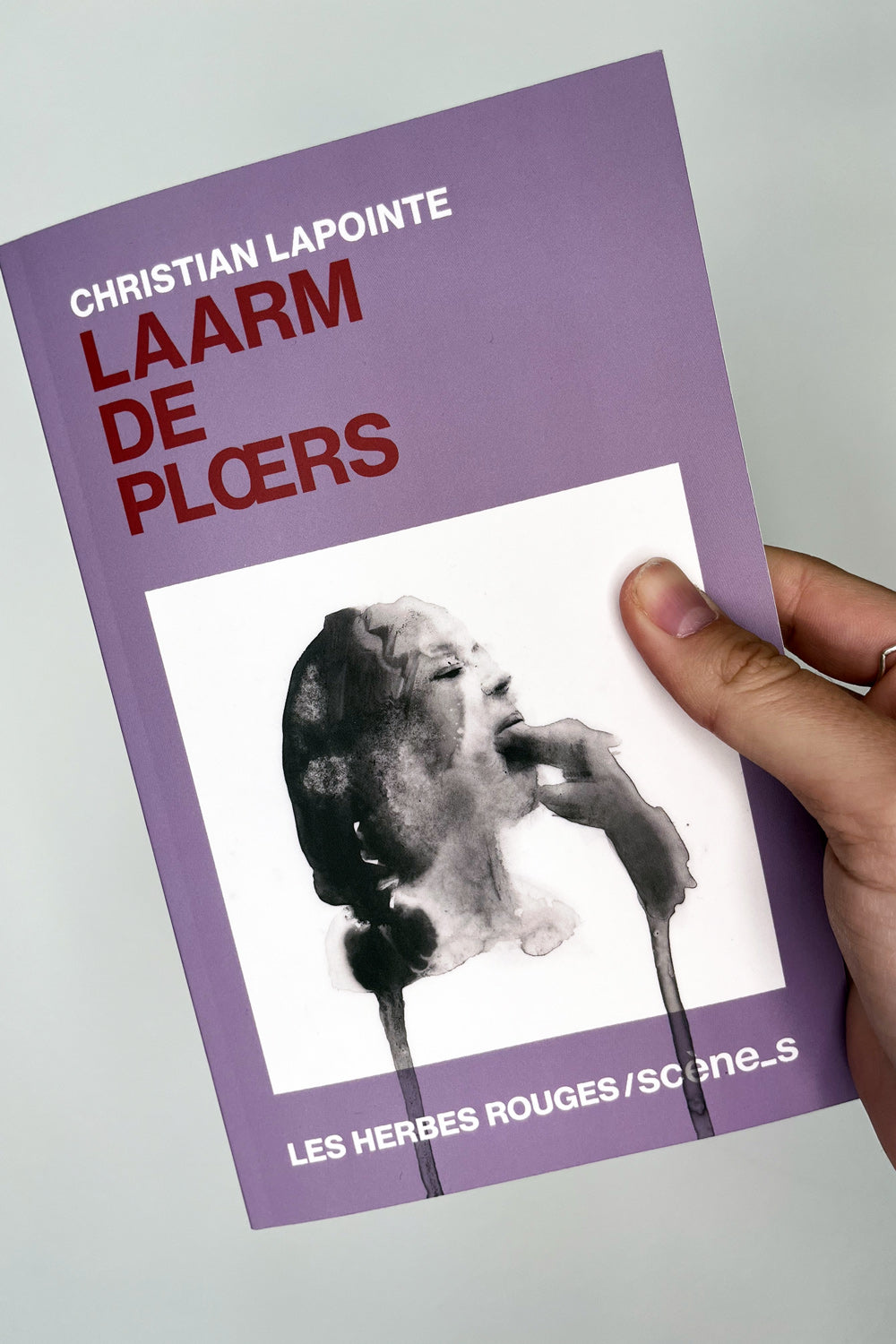 Laarm de Plœrs