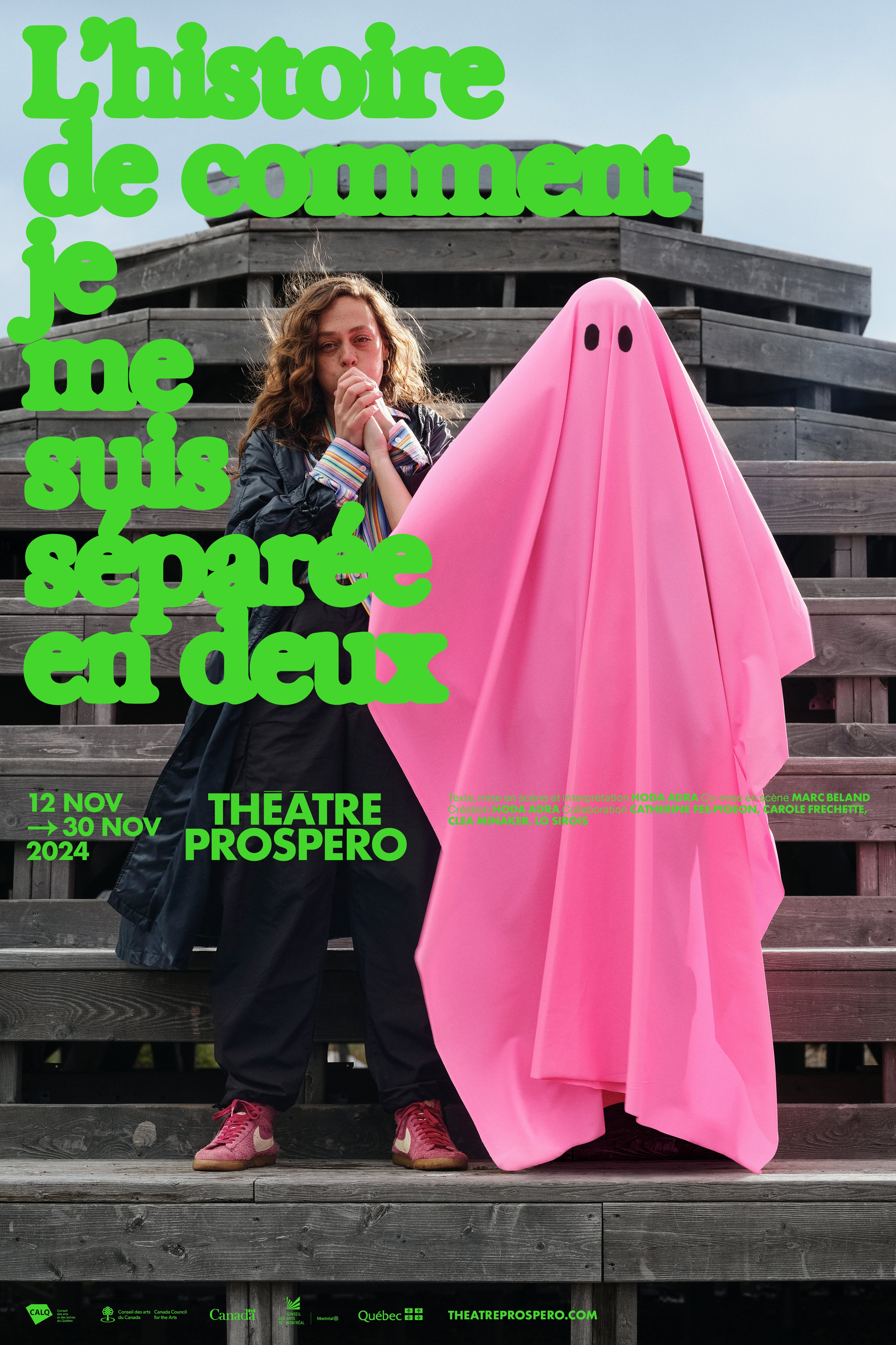 Affiche L'histoire de comment je me suis séparée en deux