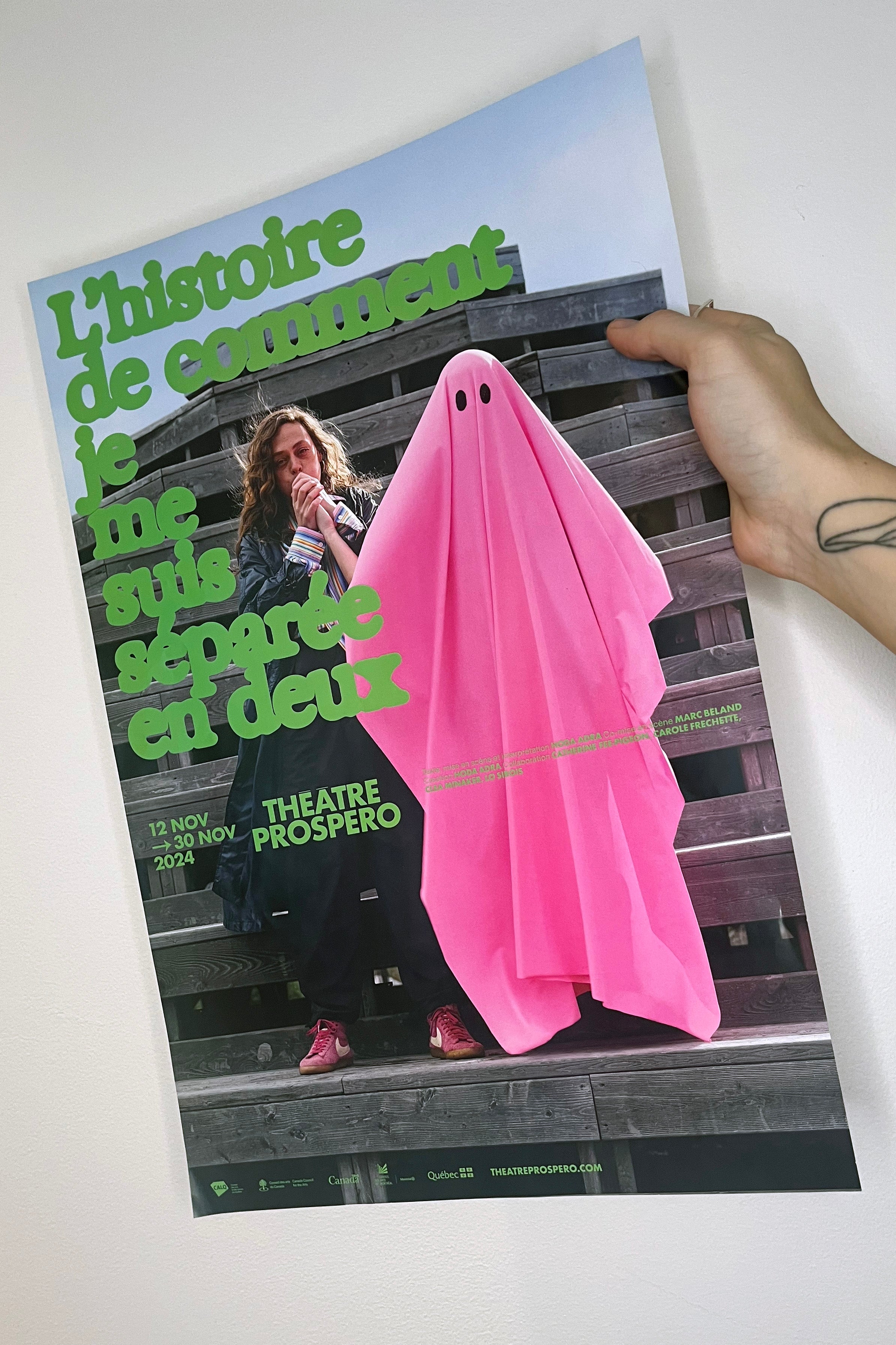 Affiche L'histoire de comment je me suis séparée en deux