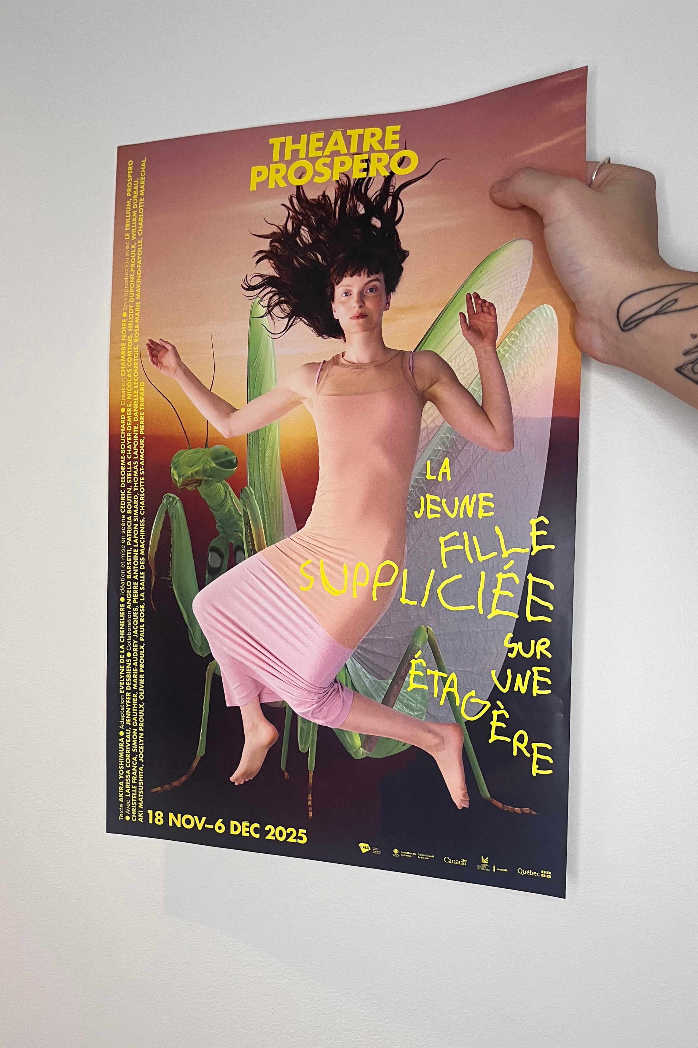 Affiche La jeune fille suppliciée sur une étagère