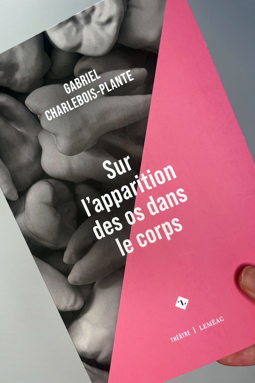 Sur l'apparition des os dans le corps